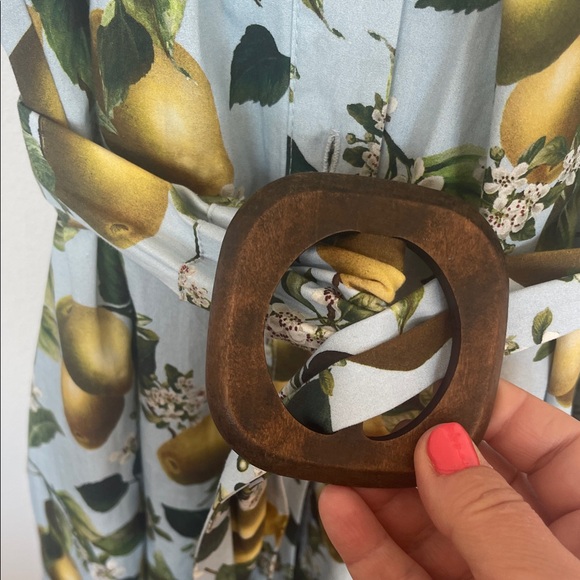 Zara Fruit Print midi Dress with Belt - Picture 3 of 7